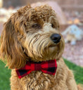 Load image into Gallery viewer, Red Buffalo Plaid Bowtie