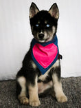 Load image into Gallery viewer, Big Heart Dog Bandana