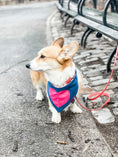Load image into Gallery viewer, Big Heart Dog Bandana