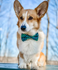 Load image into Gallery viewer, Green Envy Stripes Bowtie