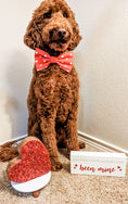 Load image into Gallery viewer, Heart to Heart Bowtie