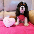 Load image into Gallery viewer, Big Heart Dog Bandana