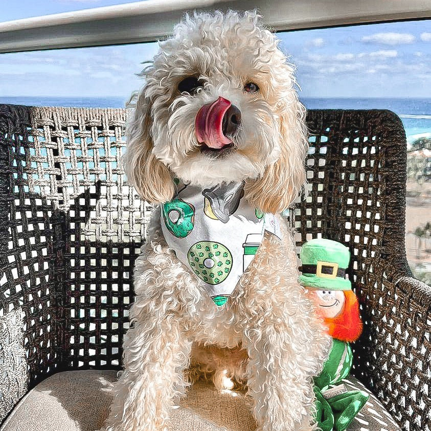 Pot of Gold Dog Bandana