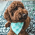 Load image into Gallery viewer, Sea Gingham Dog Bandana
