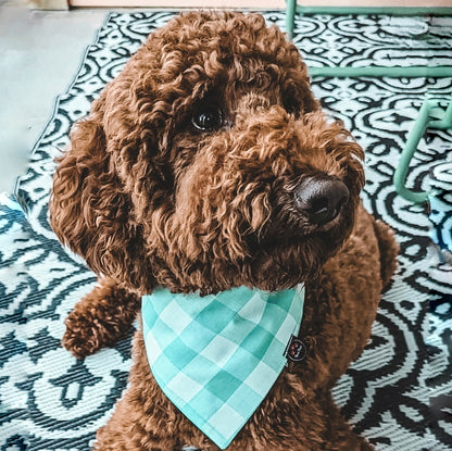 Sea Gingham Dog Bandana