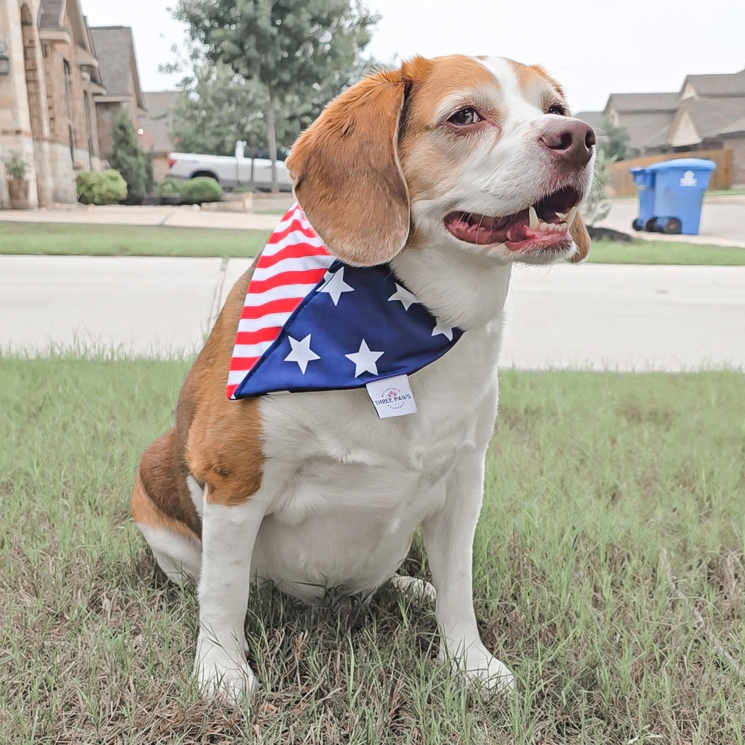 American Flag Water Lovin Bandana