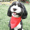 Load image into Gallery viewer, Sea Critters of Summer Dog Bandana
