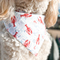 Load image into Gallery viewer, Catch of the Day Dog Bandana
