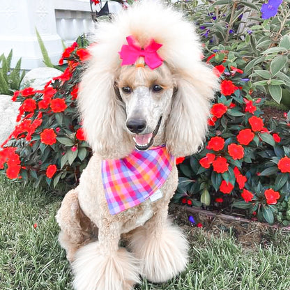 Berry Flannel Dog Bandana