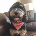 Load image into Gallery viewer, Official Turkey Tester Dog Bandana
