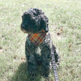 Load image into Gallery viewer, Thankful Dog Bandana

