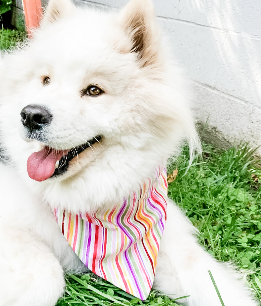 Lavender Luscious Dog Bandana