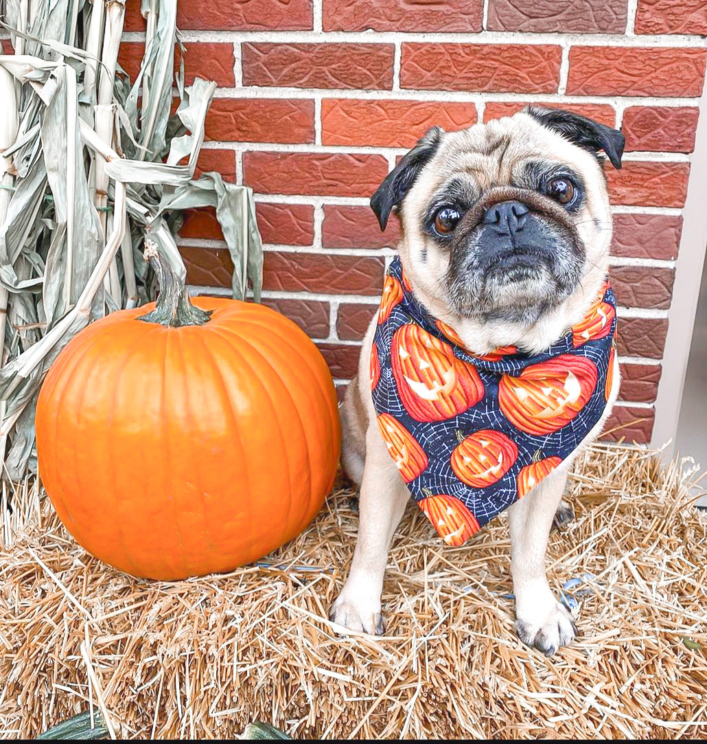 Jack O Lantern Dog Bandana