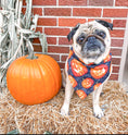 Load image into Gallery viewer, Jack O Lantern Dog Bandana

