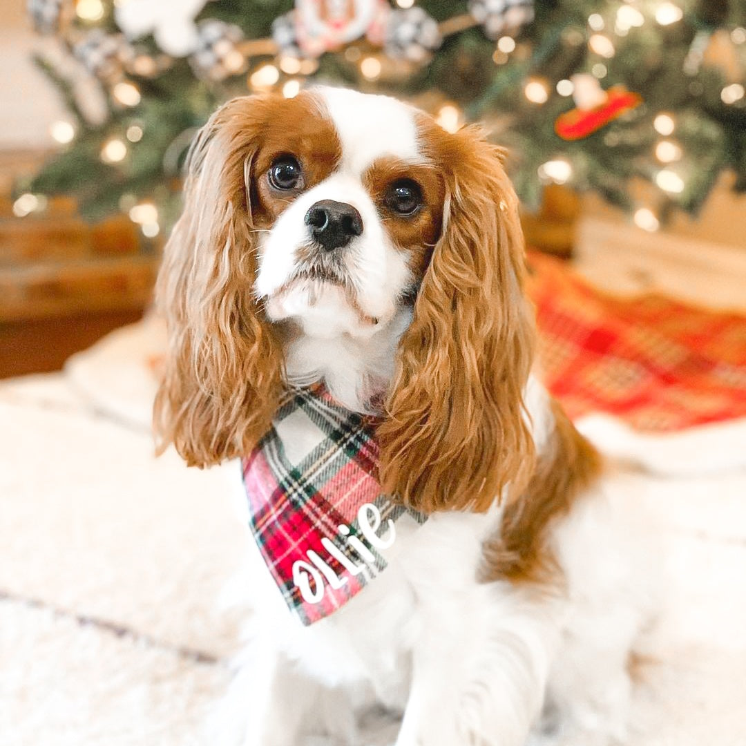 Christmas Classic Flannel Dog Bandana