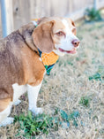 Load image into Gallery viewer, Bold Butterflies Dog Bandana
