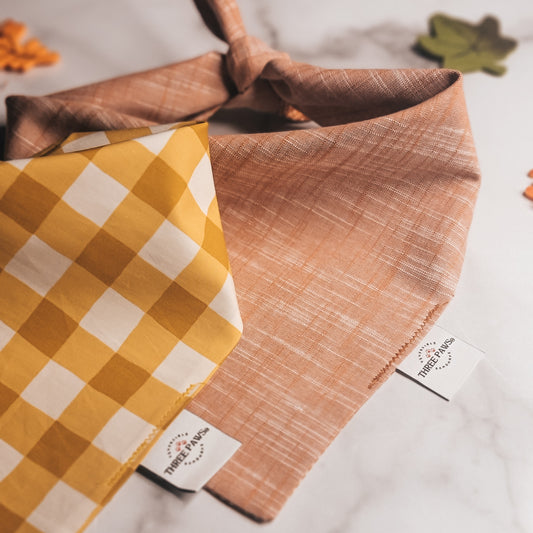 Fall Harvest Dog Bandana