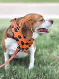 Load image into Gallery viewer, Haunt Mess Dog Bandana
