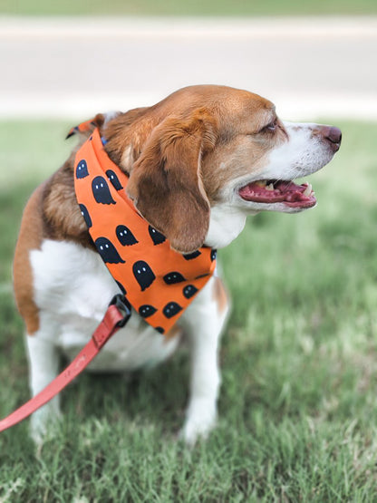 Haunt Mess Dog Bandana