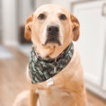 Load image into Gallery viewer, Holiday Spruce Dog Bandana
