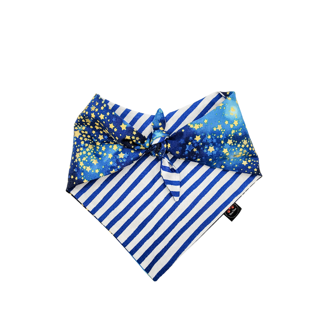 Starry Skies Dog Bandana