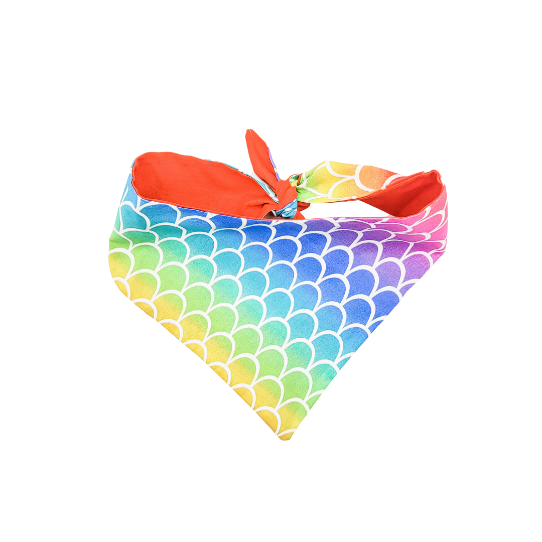 Radiant Rainbow Dog Bandana