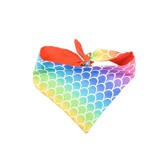 Radiant Rainbow Dog Bandana