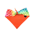 Load image into Gallery viewer, Radiant Rainbow Dog Bandana
