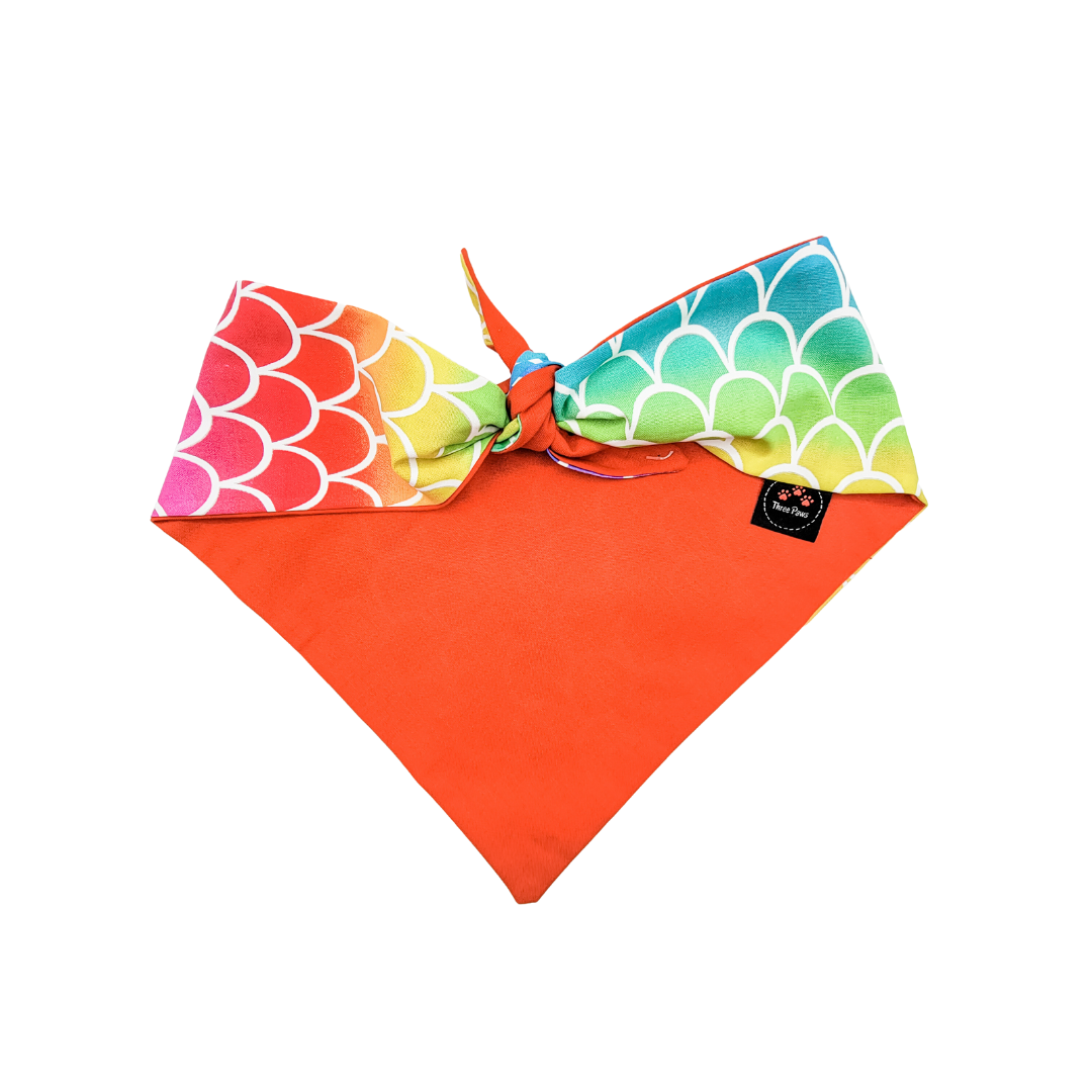 Radiant Rainbow Dog Bandana