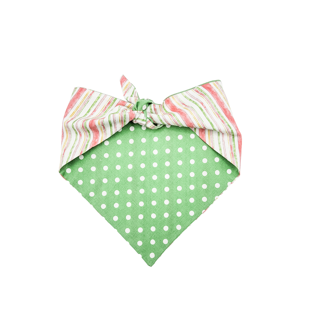 Pastel Spring Stripes Dog Bandana