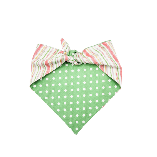 Pastel Spring Stripes Dog Bandana
