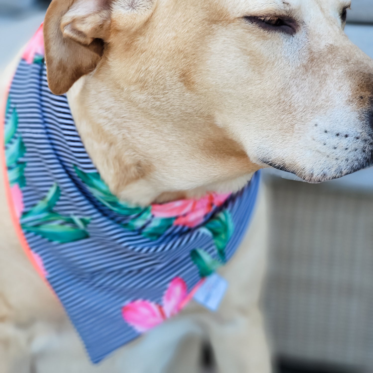 Aloha Island Water Lovin Bandana