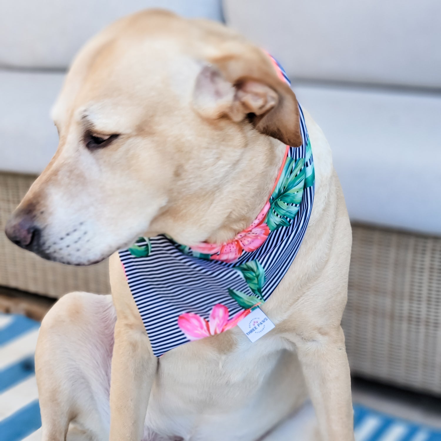 Aloha Island Water Lovin Bandana