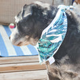 Load image into Gallery viewer, Coastal Palms Water Lovin Bandana
