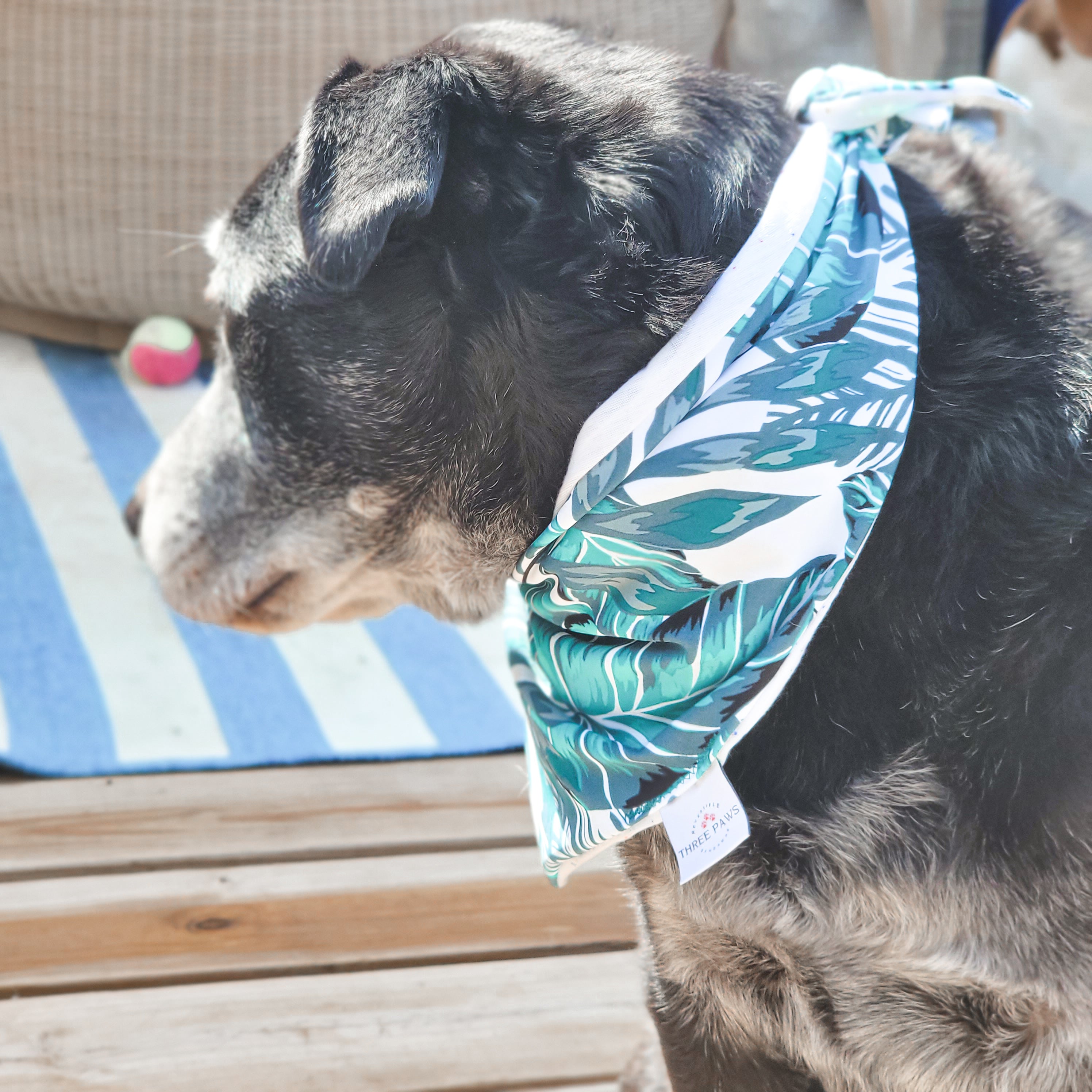 Coastal Palms Water Lovin Bandana