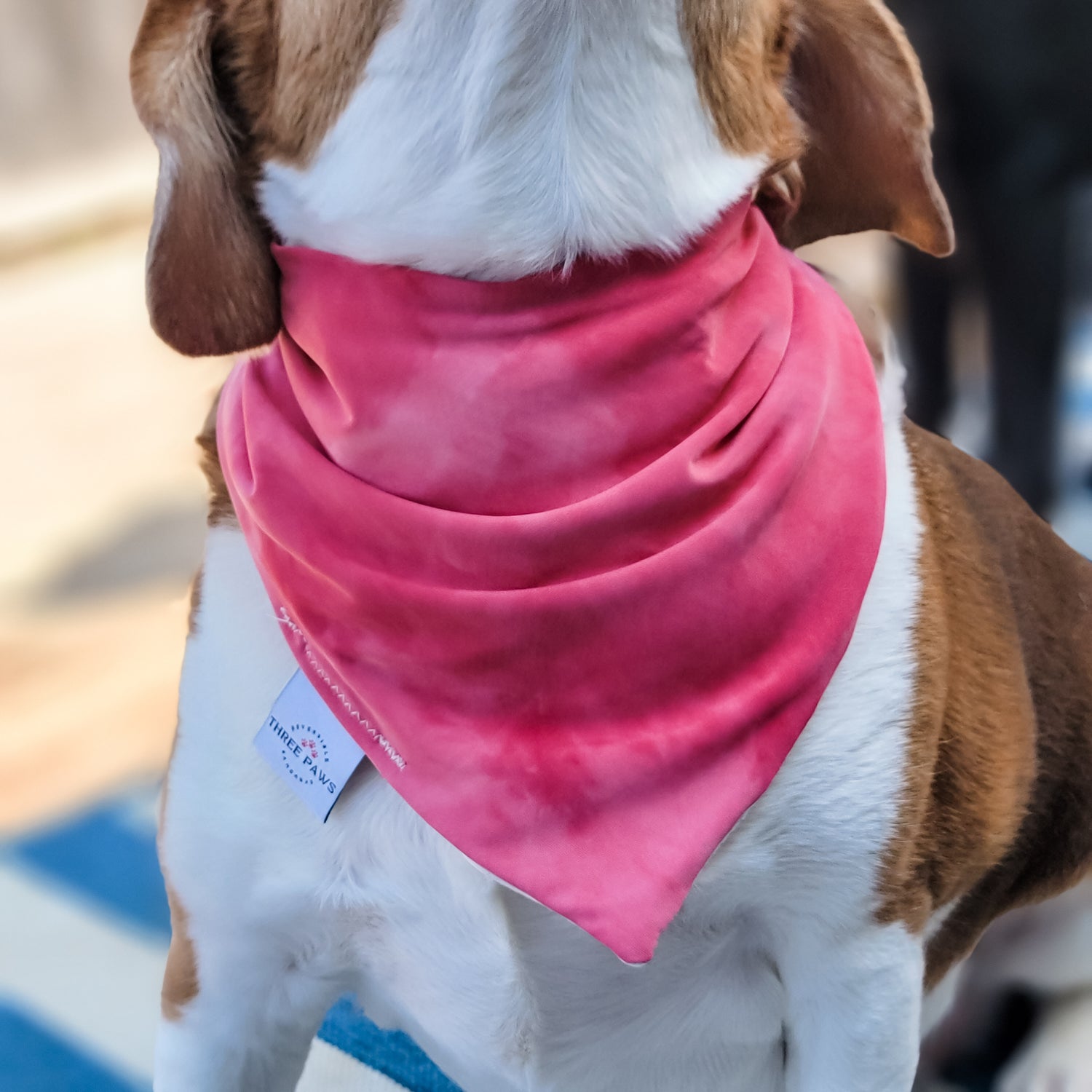 Ruby Ocean Water Lovin Bandana