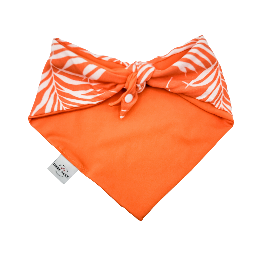 Tropical Sunrise Water Lovin Bandana