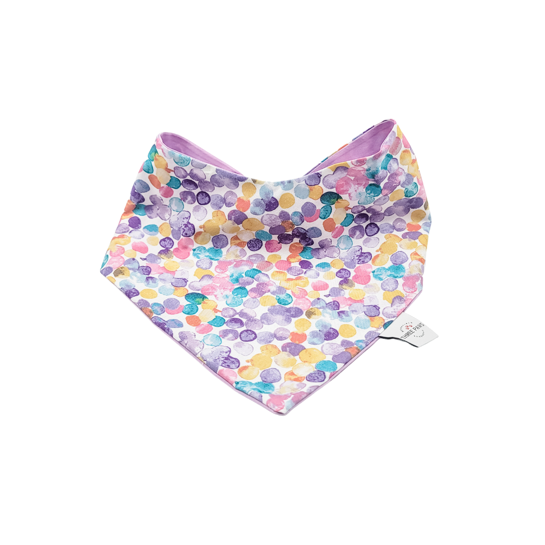 Kalediscope Dog Bandana