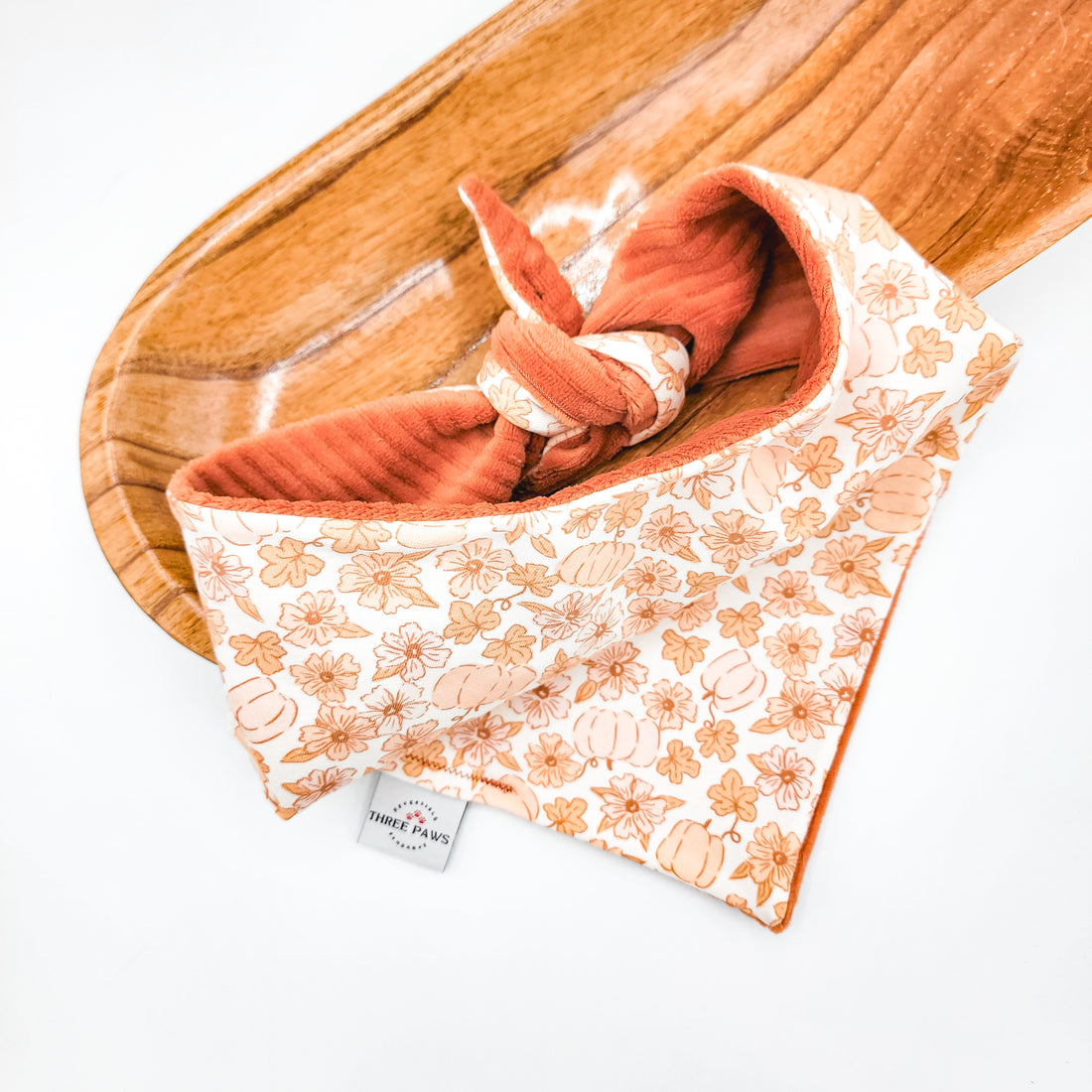 Spice of Life Dog Bandana