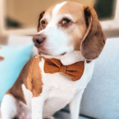 Maple Leaf Bowtie