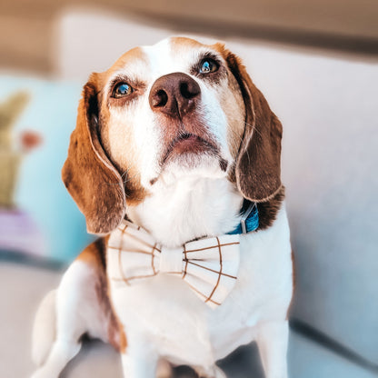 Amber Stripes Bowtie