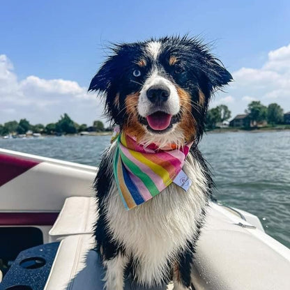 Beach Ball Water Lovin Bandana