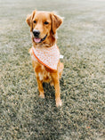 Load image into Gallery viewer, Spice of Life Dog Bandana
