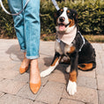 Load image into Gallery viewer, Dreamy Ghosts Dog Bandana
