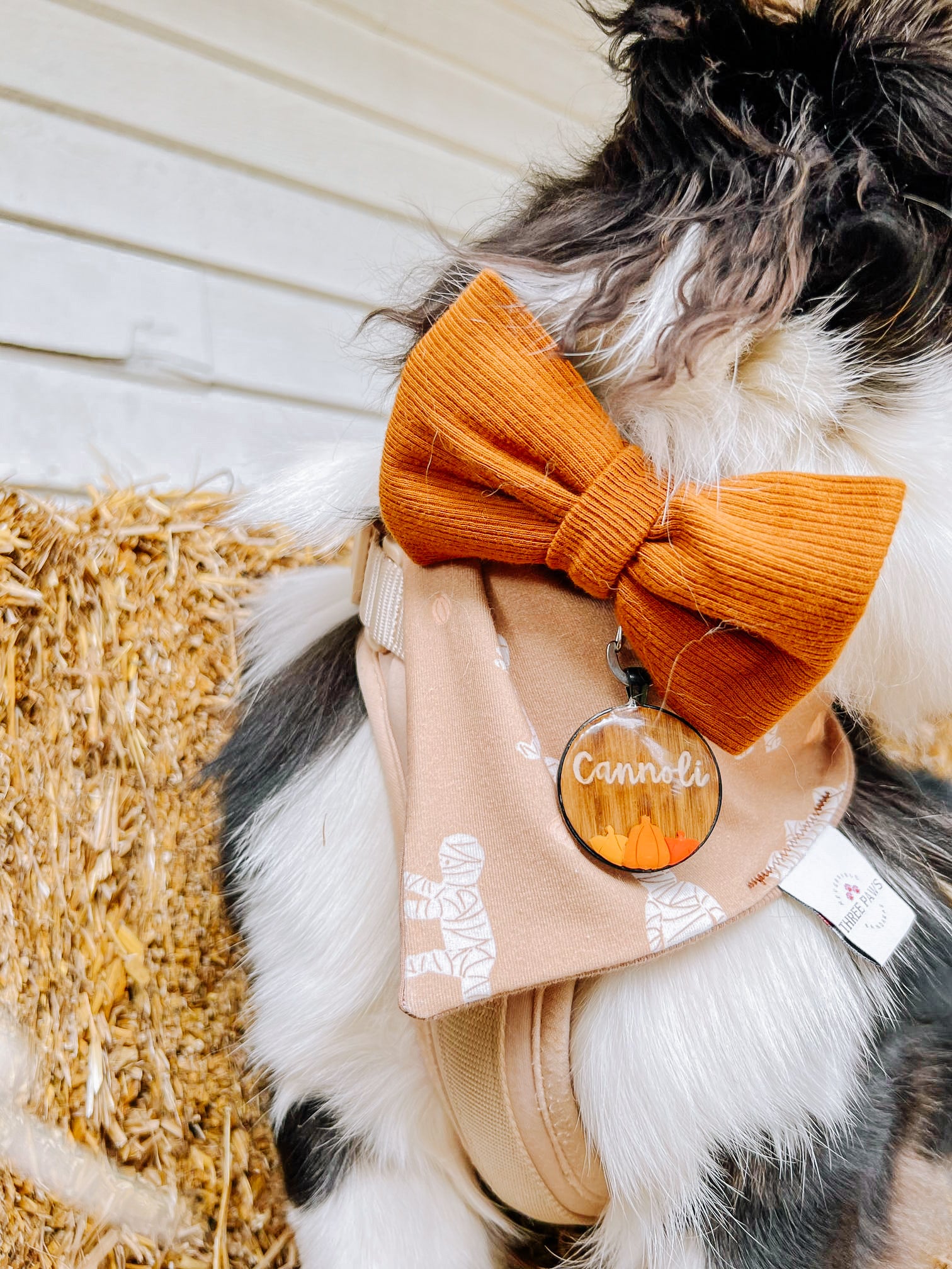 Maple Leaf Bowtie