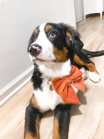 Autumn Corduroy Hair Bow