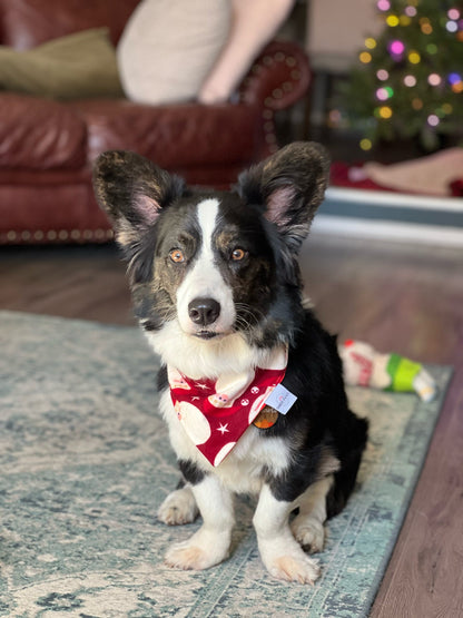 Big Santa Dog Bandana