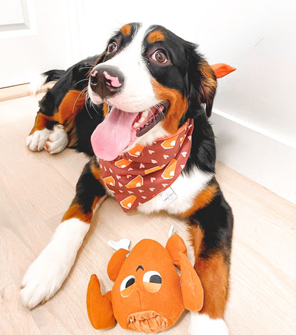 Pumpkin Pie Love Dog Bandana