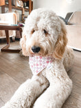 Load image into Gallery viewer, Cutie Pie Candy Dog Bandana
