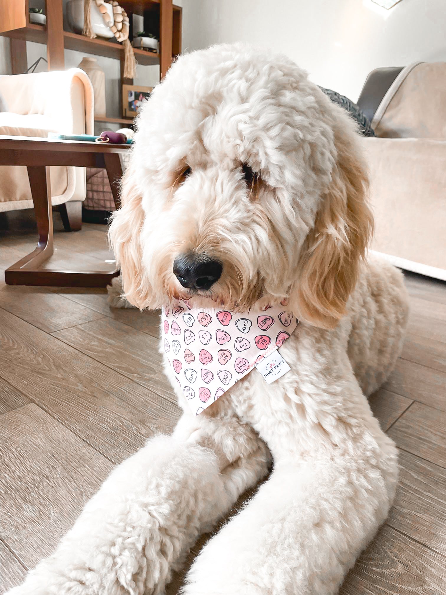 Cutie Pie Candy Dog Bandana